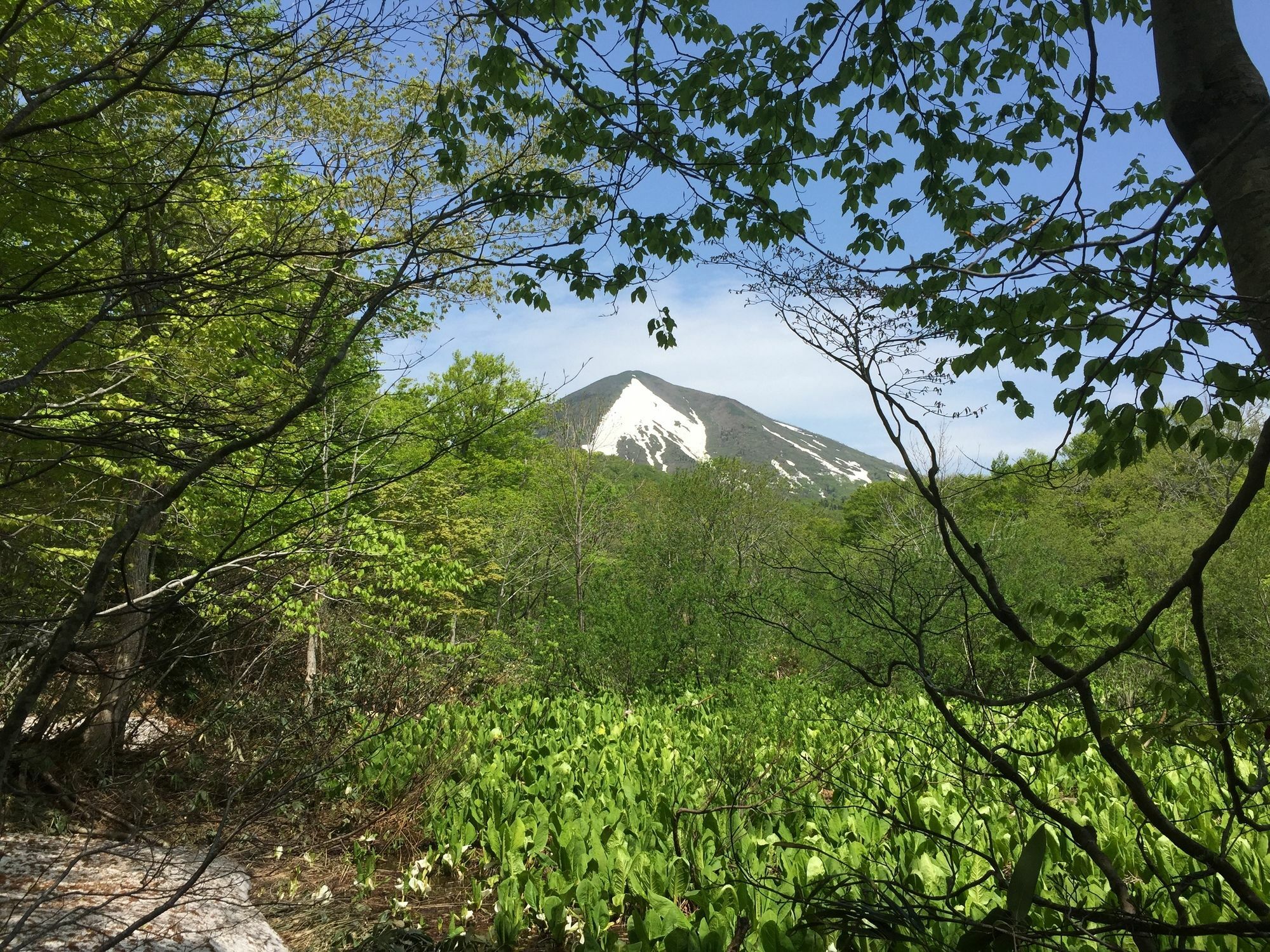 Yachi Onsen Ξενοδοχείο Towada Εξωτερικό φωτογραφία